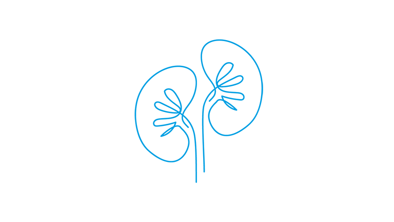 Therapies nephrology